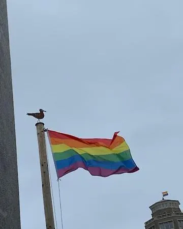 't Loft זנדוורט