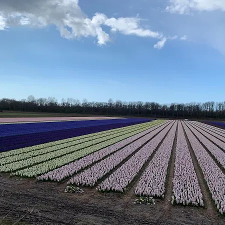 't Loft * 잔드보르트