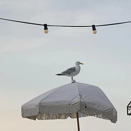 't Loft 아파트 *