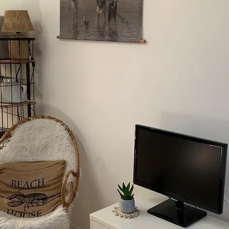 't Loft 잔드보르트