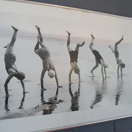 't Loft 잔드보르트