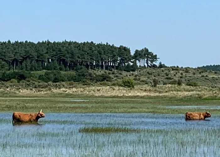 Appartement 't Loft *