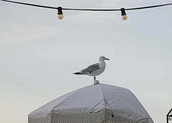 't Loft Appartement *